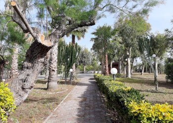 Negozio Nocera Terinese - foto 12