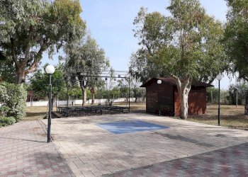 Negozio Nocera Terinese - foto 16