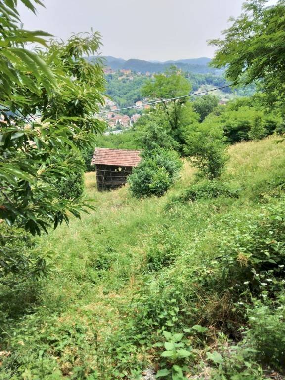 Terreno agricolo Ceranesi - foto 1