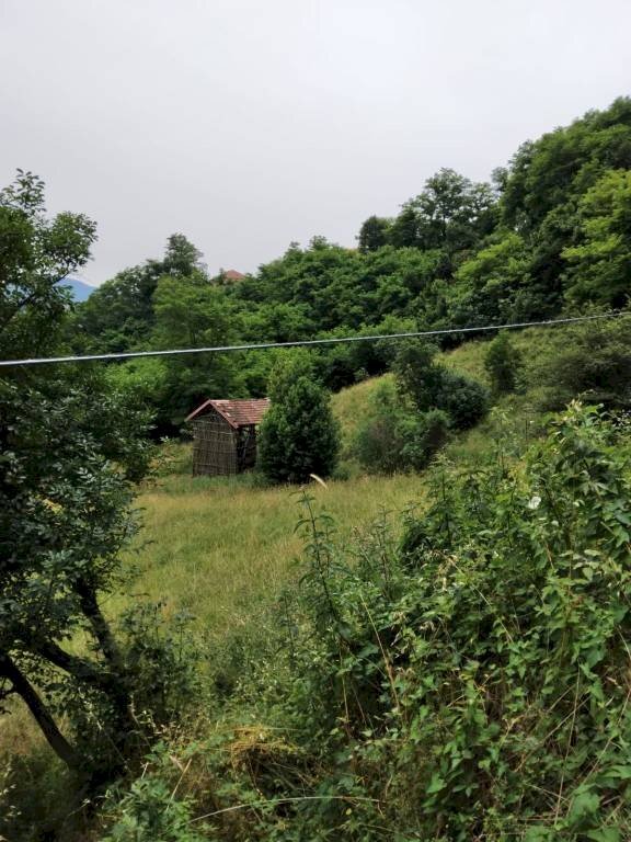 Terreno agricolo Ceranesi - foto 3