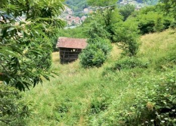 Terreno agricolo Ceranesi - foto 1