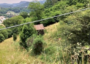 Terreno agricolo Ceranesi - foto 2