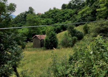 Terreno agricolo Ceranesi - foto 3