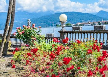 Villa Stresa - foto 79