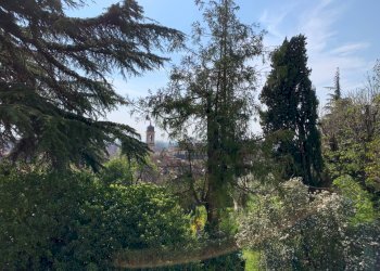 Villa Unifamiliare Via Rovereto, Piossasco - foto 10