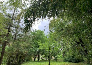 Villa Unifamiliare Via Rovereto, Piossasco - foto 12