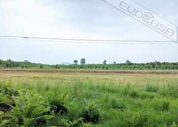 Magazzino Via Ghiare snc, Barge - foto 12