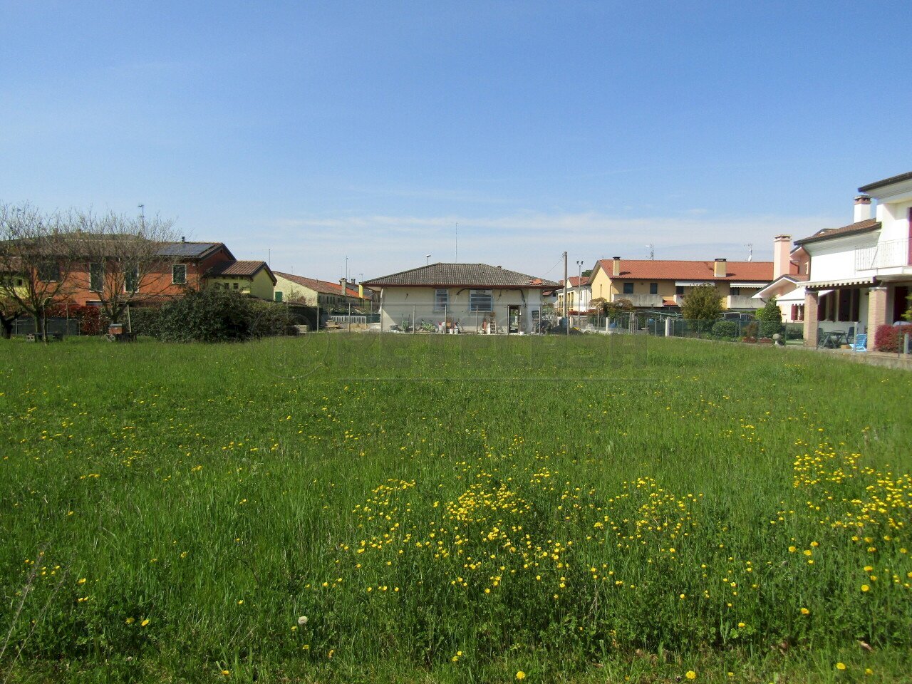 IMG_8299.JPG - Building land Borgoricco - photo 1