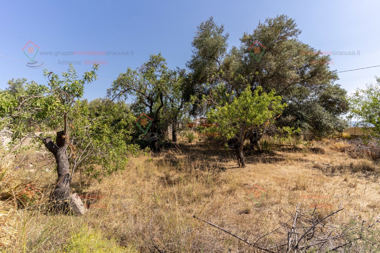 RIC08282.jpg - Rustico Priolo Gargallo - foto 3