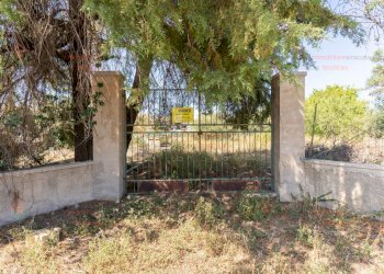 RIC08286.jpg - Rustico Priolo Gargallo - foto 1