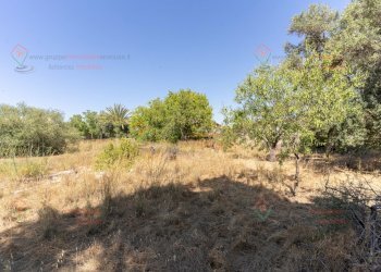 RIC08274.jpg - Rustico Priolo Gargallo - foto 4