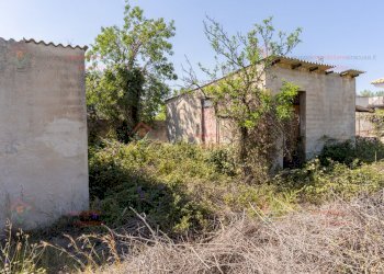 RIC08276.jpg - Rustico Priolo Gargallo - foto 6