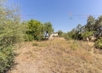 RIC08278.jpg - Rustico Priolo Gargallo - foto 8