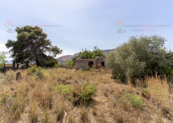 RIC08280.jpg - Rustico Priolo Gargallo - foto 10