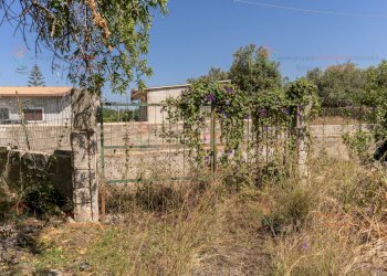 RIC08281.jpg - Rustico Priolo Gargallo - foto 11