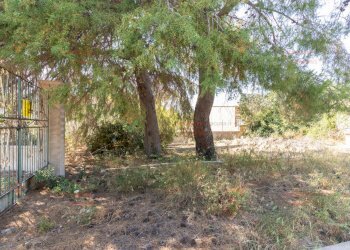 RIC08284.jpg - Rustico Priolo Gargallo - foto 12