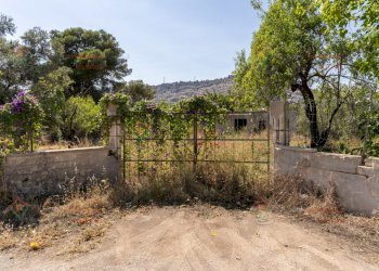 RIC08289.jpg - Rustico Priolo Gargallo - foto 14