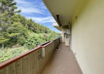 Balcone - Attico Pineto - foto 16