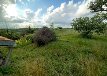 Casa indipendente Castelnuovo Don Bosco - foto 8