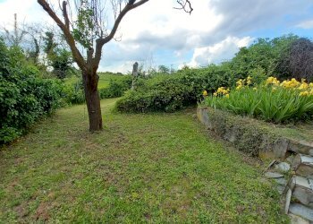 Casa indipendente Castelnuovo Don Bosco - foto 10