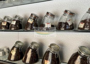 Pasticceria Luserna San Giovanni - foto 8
