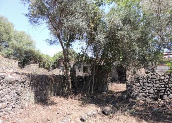 Rustico Vico Piave, Gravina di Catania - foto 4