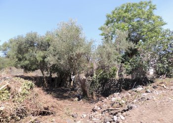 Rustico Vico Piave, Gravina di Catania - foto 19