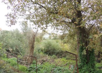 Terreno edificabile Via garibaldi, Gravina di Catania - foto 10