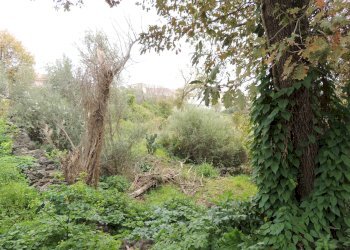 Terreno edificabile Via garibaldi, Gravina di Catania - foto 11