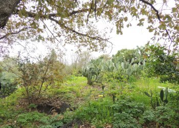 Terreno edificabile Via garibaldi, Gravina di Catania - foto 12