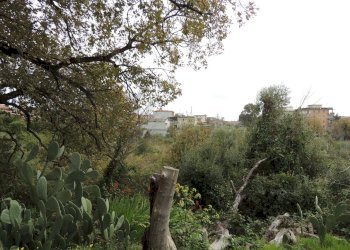 Terreno edificabile Via garibaldi, Gravina di Catania - foto 13