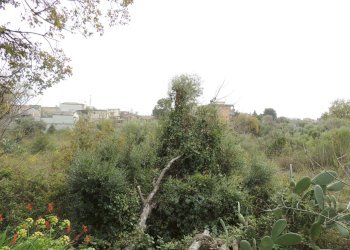 Terreno edificabile Via garibaldi, Gravina di Catania - foto 14