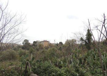 Terreno edificabile Via garibaldi, Gravina di Catania - foto 15