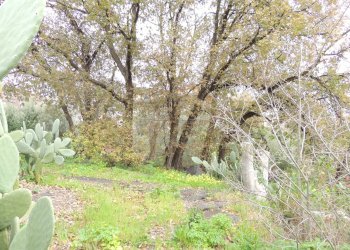 Terreno edificabile Via garibaldi, Gravina di Catania - foto 16