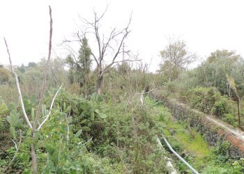 Terreno edificabile Via garibaldi, Gravina di Catania - foto 17