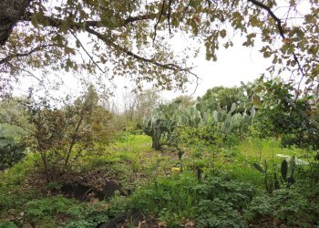 Terreno edificabile Via garibaldi, Gravina di Catania - foto 19