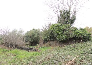 Terreno edificabile Via garibaldi, Gravina di Catania - foto 21