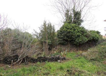 Terreno edificabile Via garibaldi, Gravina di Catania - foto 24