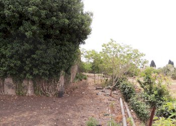 Villa Via carbonario ospizio, Mascalucia - foto 7