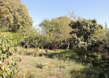 Quadrilocale Largo madonna della pace, Tremestieri Etneo - foto 14