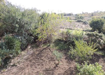 Quadrilocale Largo madonna della pace, Tremestieri Etneo - foto 17