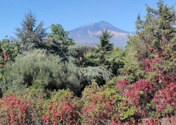 Appartamento largo madonna della pace, Tremestieri Etneo - foto 13