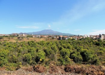 Agricultural land Via Carbonaro Ospizio, Mascalucia - photo 1