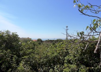 Agricultural land Via Carbonaro Ospizio, Mascalucia - photo 9