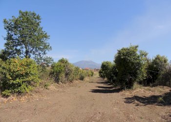 Agricultural land Via Carbonaro Ospizio, Mascalucia - photo 20