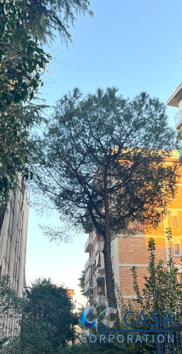 Three-room apartment Via Filippo Serafini, Roma (neighborhood Don Bosco) - photo 1