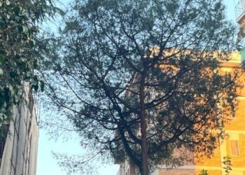 Trilocale Via Filippo Serafini, Roma (zona Don Bosco) - foto 1