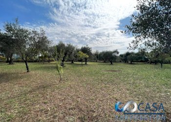 Villa VIA COLLE DELL'ORO, Zagarolo - foto 30