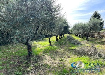 Villa VIA AGROLATINO, Labico - foto 5