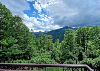 Vista - Villa Frazione Gisola, 78, Pessinetto - foto 8